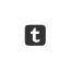 Tumblr social media icon for Eversun Accessory