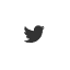 X Twitter social media icon for Eversun Accessory