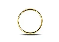 Split Ring