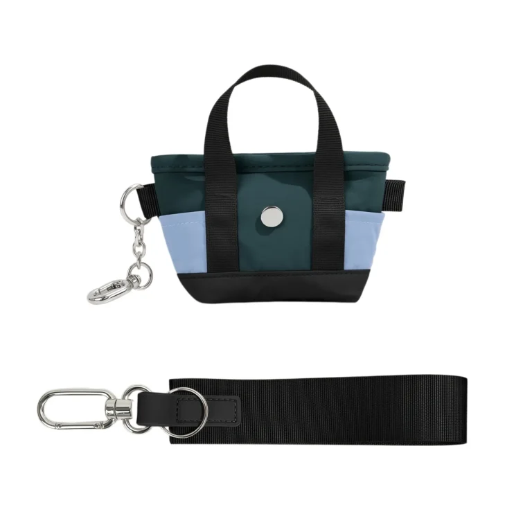 Blue-and-green mini tote pouch with loop strap